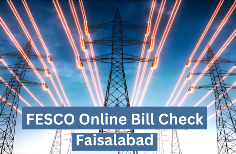 FESCO Online Bill Check Faisalabad